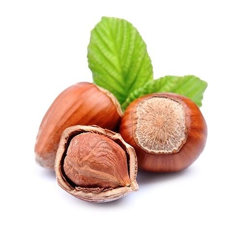 Fındık